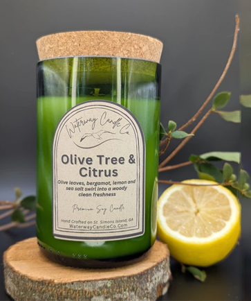 Olive Tree & Citrus